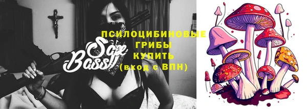 шишки Армянск