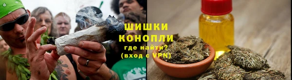 шишки Армянск