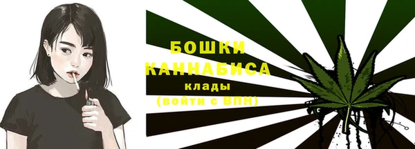спиды Арсеньев