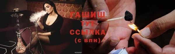 шишки Армянск