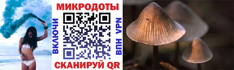 Галлюциногенные грибы Cubensis  купить наркотики цена  Таруса 